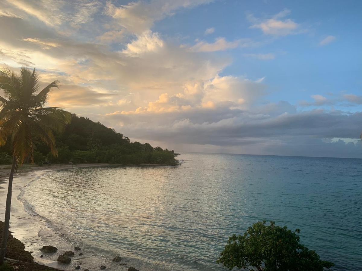 Reve Bleu Lägenhet Le Gosier  Exteriör bild
